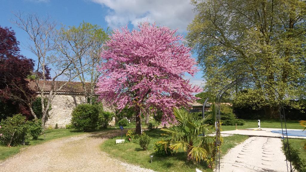 Domaine Du Papillon Bed & Breakfast Lesparre Medoc Bagian luar foto